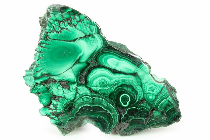 Flowery Polished Malachite Slab - DR Congo #266805